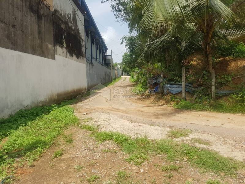 30.20 P Land For Sale Temple Road, Thalawathugoda Matarage Real